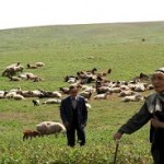 جشنواره ملی عشایر در دشت مغان برگزار شد جشنواره ملی عشایر در دشت مغان برگزار شد
