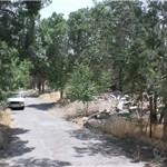 تخریب فضای سبز توسط یک دستگاه دولتی در تبریز+ عکس تخریب فضای سبز توسط یک دستگاه دولتی در تبریز+ عکس