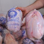 صادرات مرغ دیگر نیازی به مجوز ندارد صادرات مرغ دیگر نیازی به مجوز ندارد