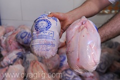صادرات مرغ دیگر نیازی به مجوز ندارد