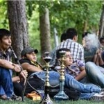 زغالسازی از طبیعت بیخ گوش اداره محیط زیست زنجان زغالسازی از طبیعت بیخ گوش اداره محیط زیست زنجان