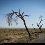 قرمز پر رنگ بحران آب در آذربایجان شرقی قرمز پر رنگ بحران آب در آذربایجان شرقی