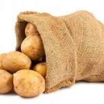 سیبزمینی زنجان در انتظار صادرکننده قوی سیبزمینی زنجان در انتظار صادرکننده قوی