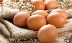 رتبه دوم تولید تخم‌مرغ را، آذربایجان‌شرقی در اختیار دارد