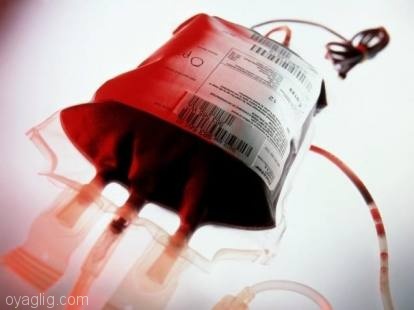 استمداد مدیرکل انتقال خون آذربایجان شرقی از خیران و مسئولین برای احداث مراکز اهدای خون در تبریز