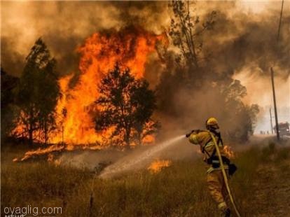 امکانات آذربایجان شرقی برای مهار آتش‌سوزی احتمالی در جنگل ها کافی نیست
