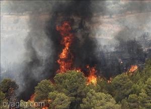 آتش سوزی در آستمال ارسباران همچنان ادامه دارد/ درخواست کمک از مردم منطقه