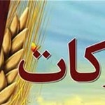 افزایش ۱۷ درصدی پرداخت زکات در آذربایجان شرقی افزایش ۱۷ درصدی پرداخت زکات در آذربایجان شرقی