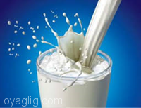وضعیت آلودگی شیر خام عرضه شده در شیرسراها نامطلوب است
