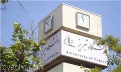۴ استاد دانشگاه تبریز جزو دانشمندان یک درصد برتر جهان قرار گرفتند