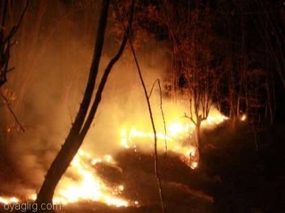 باغ داران آذربایجان شرقی برای مقابله با آتش سوزی آموزش می بینند