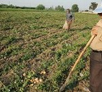چالدیراندا بیر کیلولوق یئرآلما چالدیراندا بیر کیلولوق یئرآلما