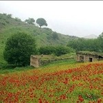 پرونده جنگلهای ارسباران به یونسکو ارسال میشود پرونده جنگلهای ارسباران به یونسکو ارسال میشود