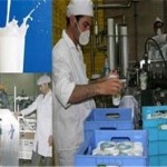 نفس های آخر واحدهای تولید فراورده های لبنی در آذربایجان شرقی نفس های آخر واحدهای تولید فراورده های لبنی در آذربایجان شرقی