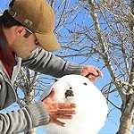 جشنواره گردشگری زمستانی سرعین آغاز شد جشنواره گردشگری زمستانی سرعین آغاز شد