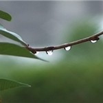 کاهش ۲۸ درصدی بارشها در آذربایجانشرقی کاهش ۲۸ درصدی بارشها در آذربایجانشرقی