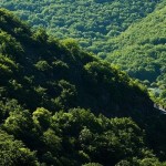 گنج هفت میلیون ساله در اعماق جنگلهای ارسباران/ ارسباران از نظر پوشش گیاهی منحصر بفرد است گنج هفت میلیون ساله در اعماق جنگلهای ارسباران/ ارسباران از نظر پوشش گیاهی منحصر بفرد است