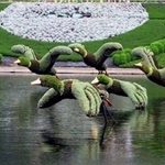 کمبود سرانه سبز در باغ شهر ایران؛ چه باید کرد؟ کمبود سرانه سبز در باغ شهر ایران؛ چه باید کرد؟