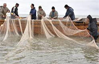 آغاز صدور پروانه صید ماهی با قلاب و تور در آذربایجان‌شرقی
