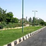 صرفه جویی ۵۰۰ هزار متر مکعب آب با کاهش کاشت چمن در تبریز صرفه جویی ۵۰۰ هزار متر مکعب آب با کاهش کاشت چمن در تبریز
