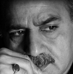 پرستویی: خودم را بسیجی نمیدانم پرستویی: خودم را بسیجی نمیدانم