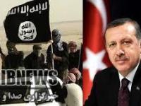 برخوردهای ترکیه با داعش ؛تاکتیکی یا راهبردی ؟
