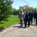 مشکلات کنونی شهرها ناشی از تخریب باغات است مشکلات کنونی شهرها ناشی از تخریب باغات است