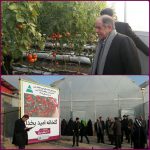 یک واحد گلخانهای با حضور اکبر ترکان در منطقه آزاد ارس افتتاح شد یک واحد گلخانهای با حضور اکبر ترکان در منطقه آزاد ارس افتتاح شد