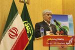 فعالیت کشاورزی در مزارع سبزی و صیفی تبریز تداوم خواهد داشت فعالیت کشاورزی در مزارع سبزی و صیفی تبریز تداوم خواهد داشت