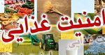 امنیت غذایی، دسترسی همه مردم به غذای کافی برای داشتن جسم سالم است امنیت غذایی، دسترسی همه مردم به غذای کافی برای داشتن جسم سالم است