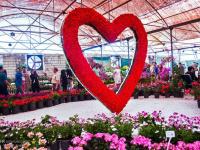 نمایشگاه گل و گیاه در ارومیه دایر شد