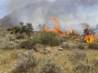 کشاورزان از آتش زدن کاه و کلش مزارع خودداری کنند