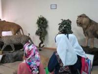 بازدید رایگان از موزه تاریخ طبیعی اردبیل در روز جهانی موزه
