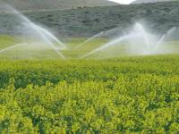 ۶۷میلیون مترمکعب آب در بخش کشاورزی آذربایجان غربی صرفه جویی شد