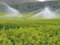 مدیریت بهینه مصرف آب، مهمترین دستور کار بخش کشاورزی زنجان
