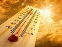 دمای هوای زنجان تا پایان هفته روند افزایشی خواهد داشت