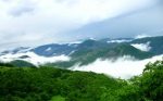 آغوش ارسباران پذیرای گونههای در معرض انقراض جانوری و گیاهی آغوش ارسباران پذیرای گونههای در معرض انقراض جانوری و گیاهی