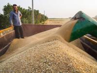 ظرفیت انبار محصولات کشاورزی اردبیل ۱۵۰ هزار تن کسری دارد