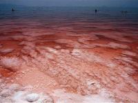 تغییر رنگ دومین دریاچه شور دنیا/دریاچه ارومیه قرمز شد