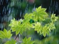 میزان بارش ها در استان زنجان امسال ۲۴ درصد کاهش یافته است