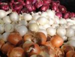 کاهش قیمت پیاز طی چند روز آینده کاهش قیمت پیاز طی چند روز آینده