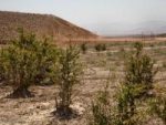 اردبیل با کمبود منابع آبی مواجه است اردبیل با کمبود منابع آبی مواجه است