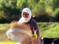 تحقق معشیت پایدار، رویکرد اصلی تهیه سند توسعه روستایی در استان زنجان