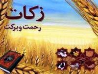 افزایش ۹۱ درصدی جمع آوری زکات در استان زنجان