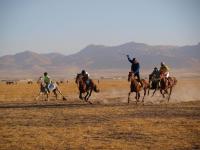 سلطانیه به مرکز برگزاری مسابقات اسب دوانی شمالغرب تبدیل می شود