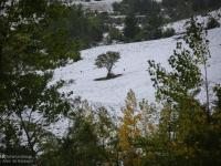 بارش برف پاییزی در خلخال/دمای هوا ۱۵ درجه کاهش می یابد