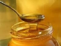 رتبه سوم کشوری اردبیل در تولید عسل