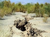 خسارت خشکسالی کشاورزان اردبیلی پرداخت شود