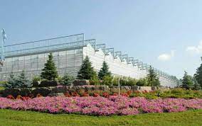 گشتی در بزرگترین گلخانه شیشه‌ای هیدروپونیک خاورمیانه