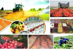 آگهی مزایده واگذاری اراضی سد ارس برای کشت محصولات کشاورزی